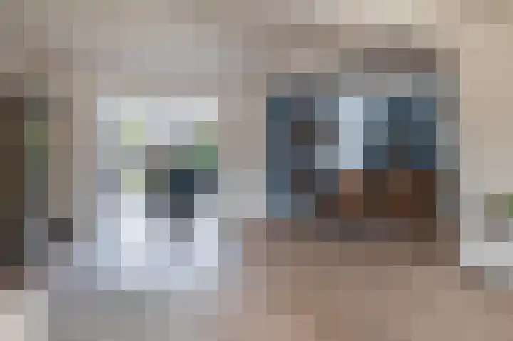 Deken Franssenstraat 5 Veghel thumbnail 5