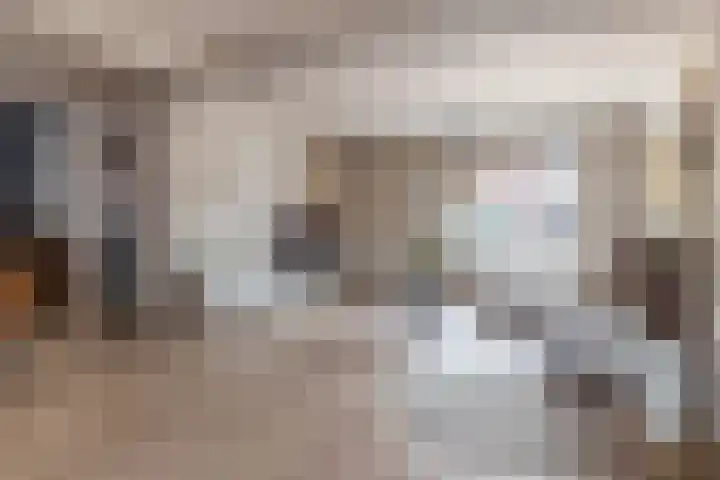 Deken Franssenstraat 5 Veghel thumbnail 6