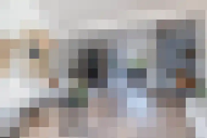 Deken Franssenstraat 5 Veghel thumbnail 7