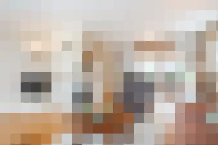 Deken Franssenstraat 9 Veghel thumbnail 10