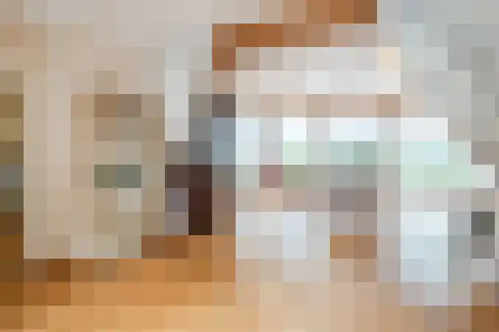 Deken Franssenstraat 9 Veghel thumbnail 11