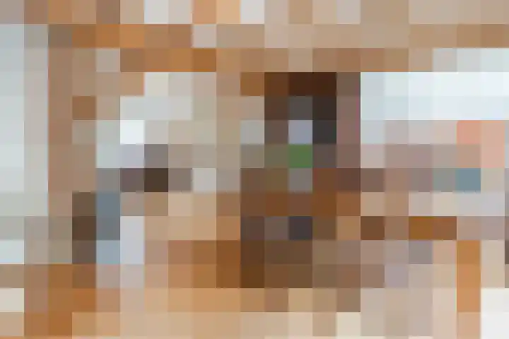 Deken Franssenstraat 9 Veghel thumbnail 13