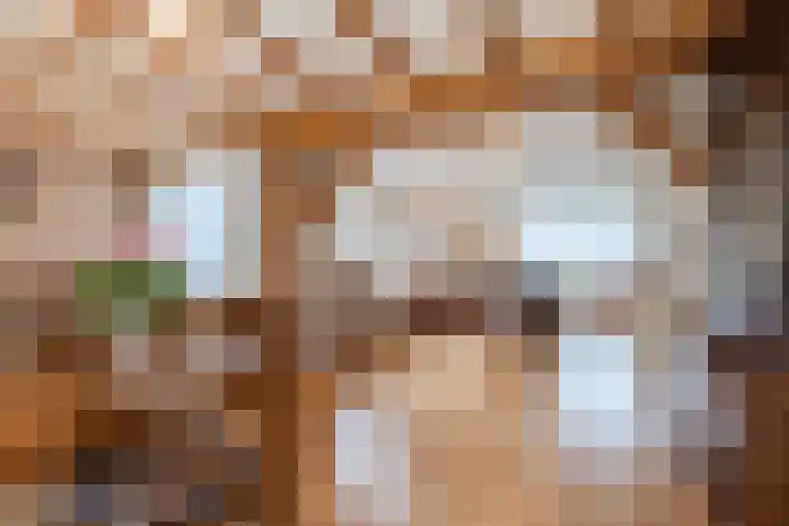 Deken Franssenstraat 9 Veghel thumbnail 15