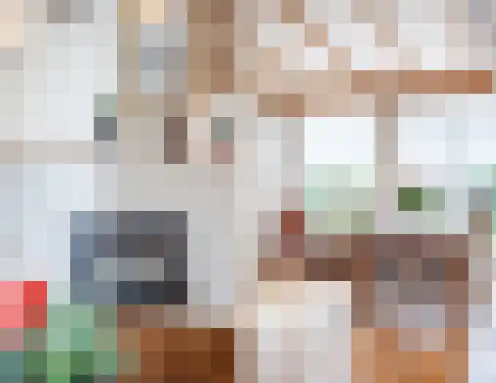 Deken Franssenstraat 9 Veghel thumbnail 16