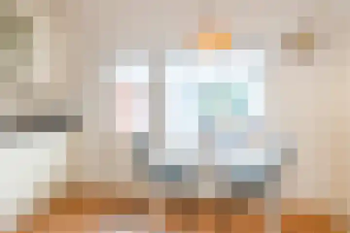 Deken Franssenstraat 9 Veghel thumbnail 18