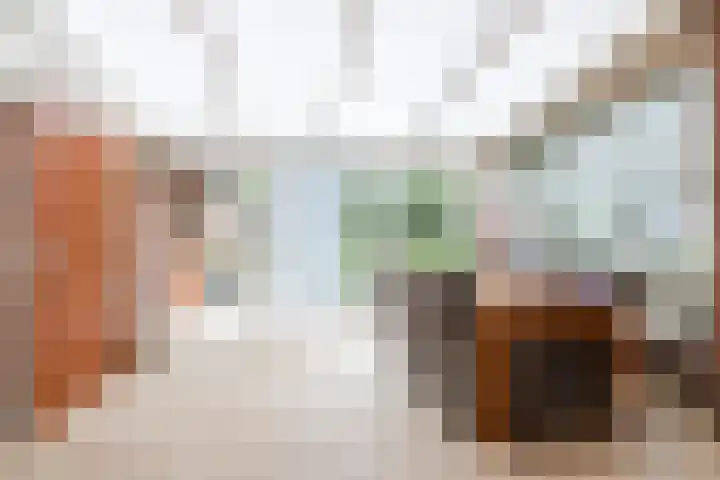 Deken Franssenstraat 9 Veghel thumbnail 20