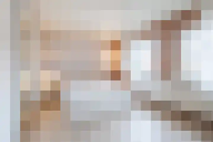 Deken Franssenstraat 9 Veghel thumbnail 25