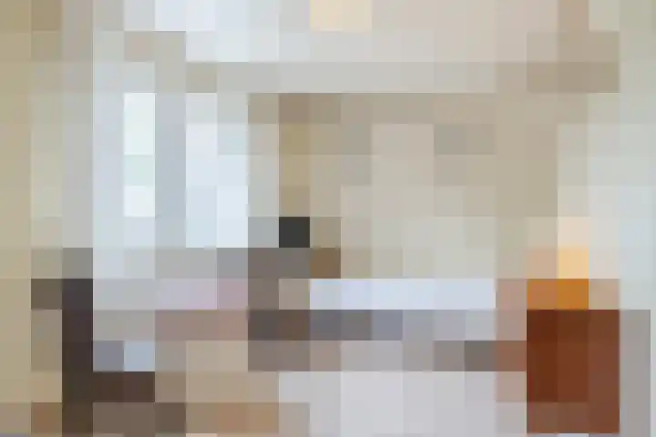 Deken Franssenstraat 9 Veghel thumbnail 27