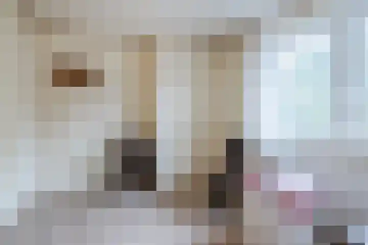 Deken Franssenstraat 9 Veghel thumbnail 28