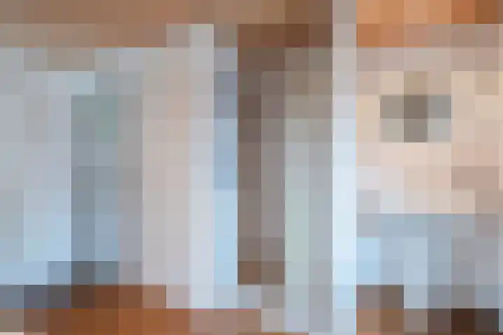 Deken Franssenstraat 9 Veghel thumbnail 31
