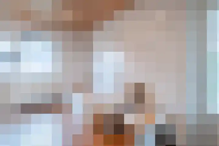 Deken Franssenstraat 9 Veghel thumbnail 32