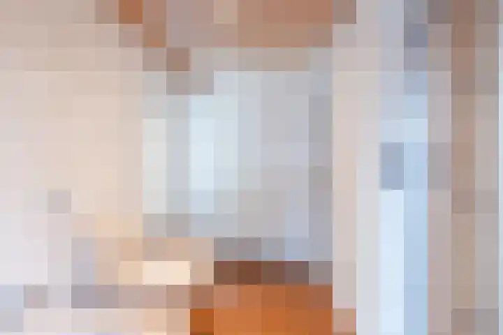 Deken Franssenstraat 9 Veghel thumbnail 33