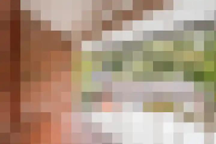 Deken Franssenstraat 9 Veghel thumbnail 34