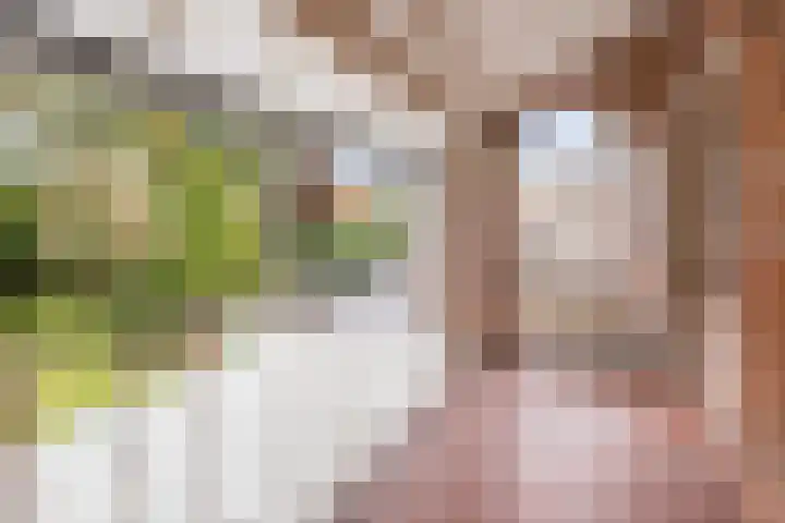 Deken Franssenstraat 9 Veghel thumbnail 35