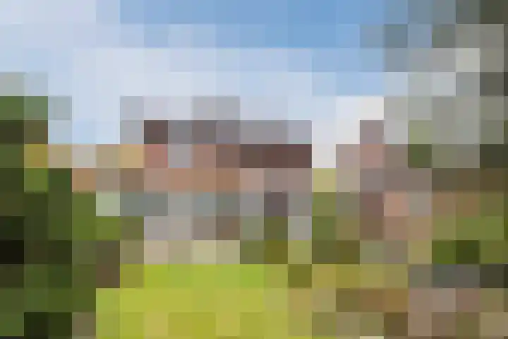 Deken Franssenstraat 9 Veghel thumbnail 36