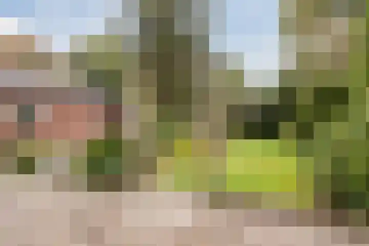 Deken Franssenstraat 9 Veghel thumbnail 37