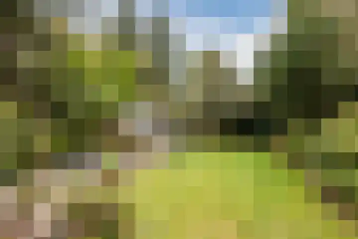Deken Franssenstraat 9 Veghel thumbnail 38
