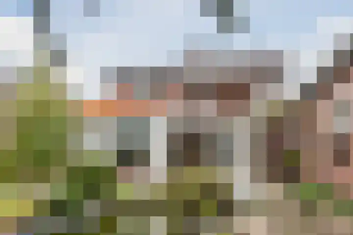 Deken Franssenstraat 9 Veghel thumbnail 39