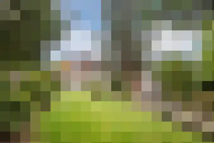 Deken Franssenstraat 9 Veghel thumbnail 4