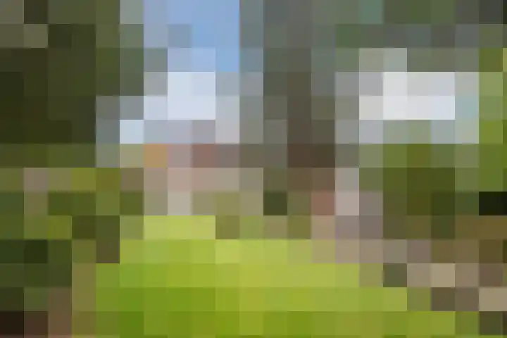 Deken Franssenstraat 9 Veghel thumbnail 40