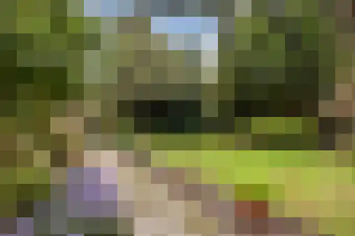Deken Franssenstraat 9 Veghel thumbnail 41