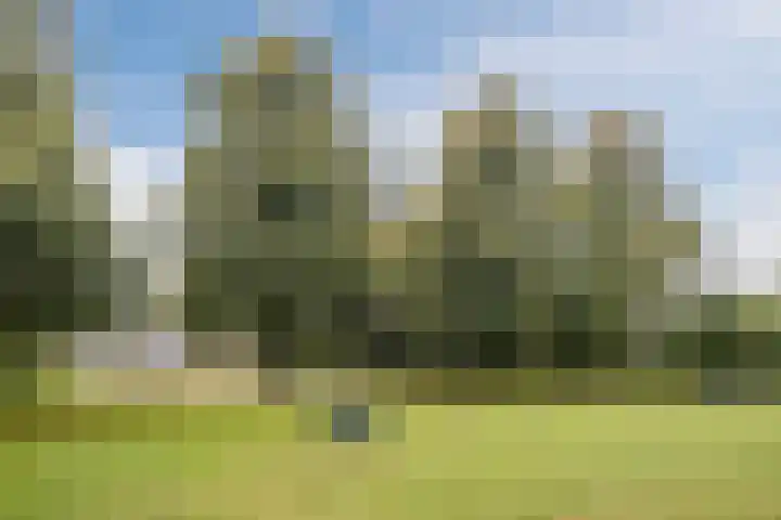 Deken Franssenstraat 9 Veghel thumbnail 43