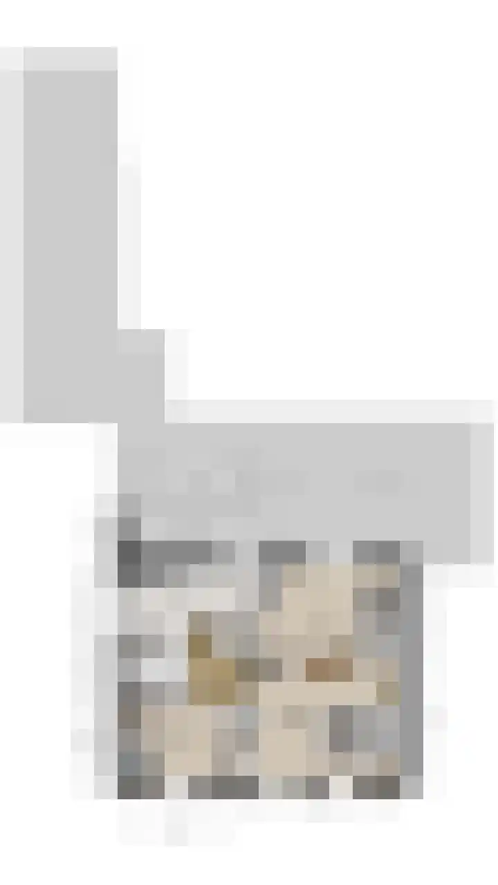 Deken Franssenstraat 9 Veghel thumbnail 48
