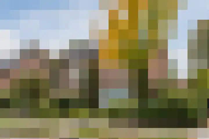 Deken Franssenstraat 9 Veghel thumbnail 5