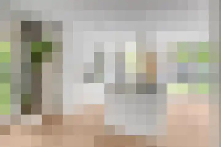 Deken Fritsenstraat 57 Rosmalen thumbnail 11