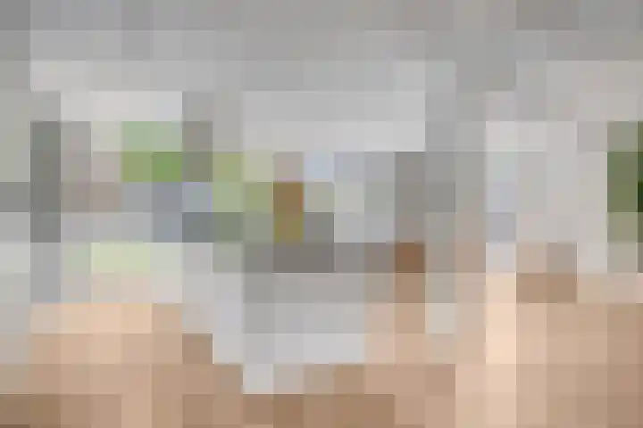 Deken Fritsenstraat 57 Rosmalen thumbnail 12