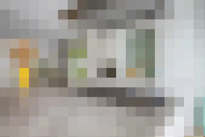 Deken Fritsenstraat 57 Rosmalen thumbnail 14