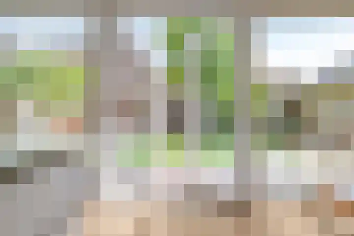 Deken Fritsenstraat 57 Rosmalen thumbnail 18