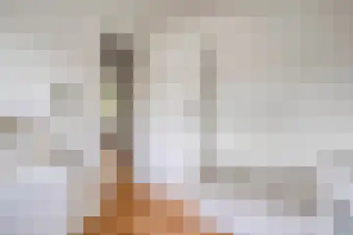 Deken Fritsenstraat 57 Rosmalen thumbnail 30
