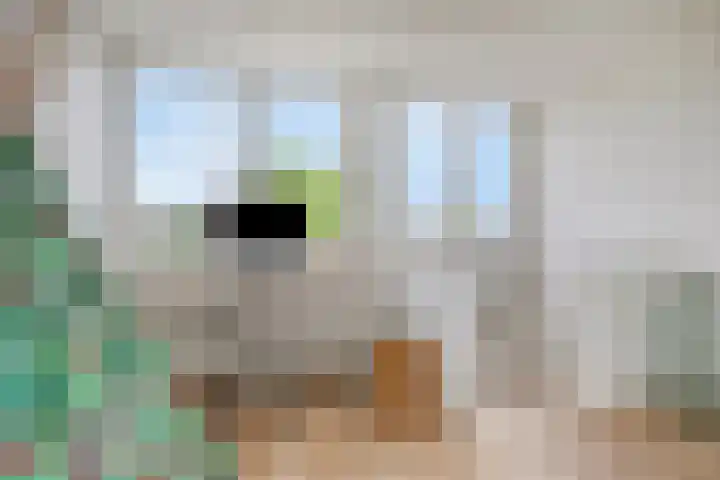 Deken Fritsenstraat 57 Rosmalen thumbnail 34