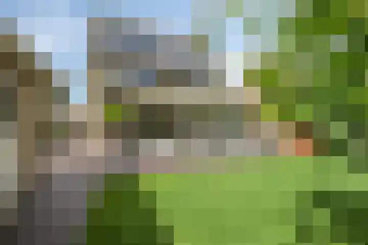 Deken Fritsenstraat 57 Rosmalen thumbnail 44