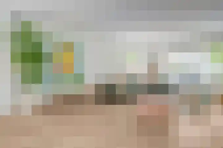 Deken Fritsenstraat 57 Rosmalen thumbnail 5