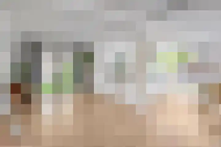Deken Fritsenstraat 57 Rosmalen thumbnail 9