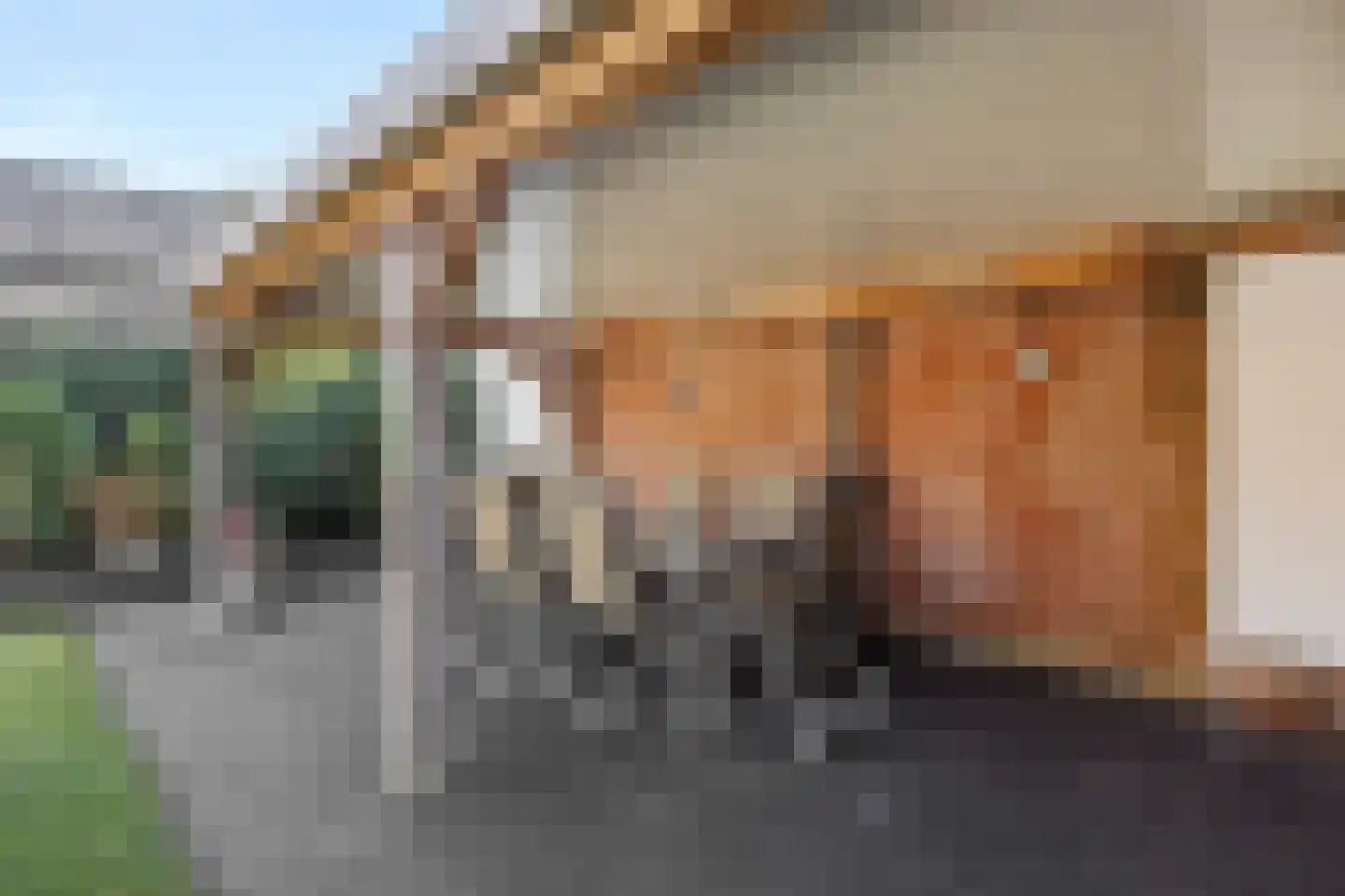 Deken Fritsenstraat 65 Rosmalen thumbnail 12