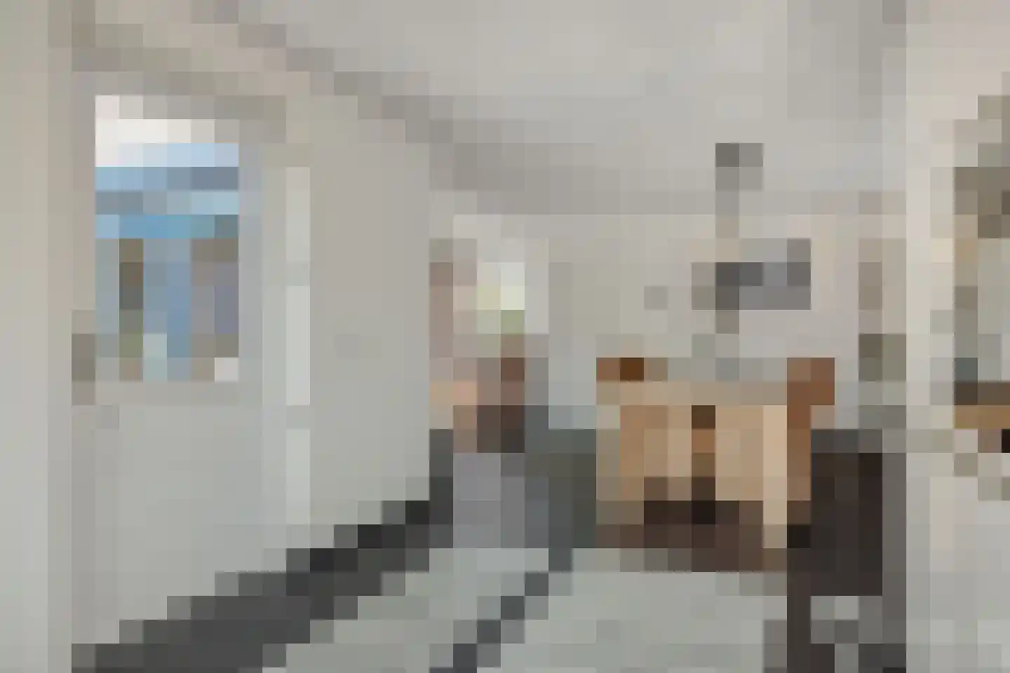 Deken Fritsenstraat 65 Rosmalen thumbnail 22