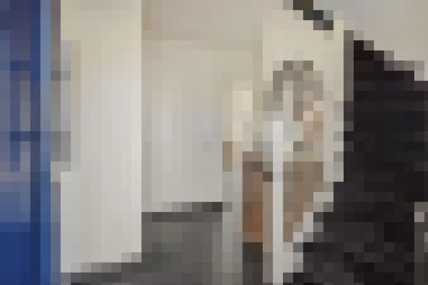 Deken Fritsenstraat 65 Rosmalen thumbnail 25