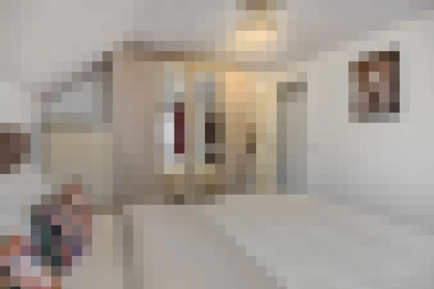 Deken Fritsenstraat 65 Rosmalen thumbnail 28