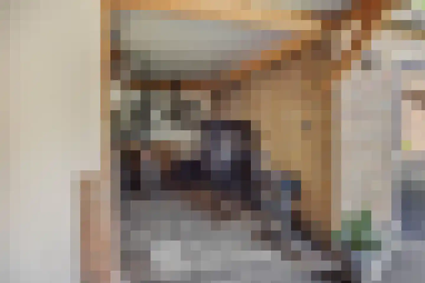 Deken Fritsenstraat 65 Rosmalen thumbnail 41
