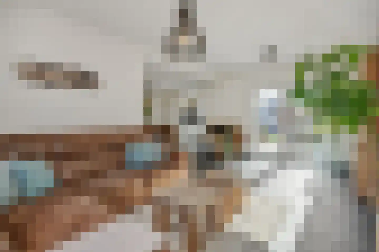 Deken Fritsenstraat 65 Rosmalen thumbnail 6