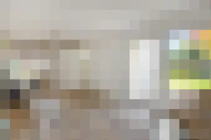 Deken Fritsenstraat 70 Rosmalen thumbnail 21