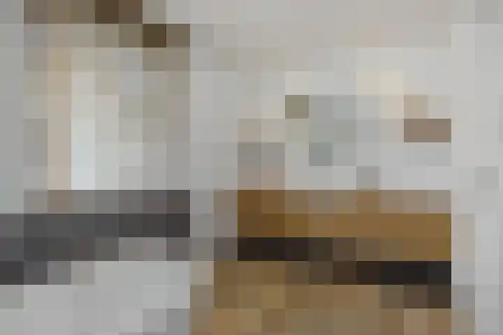 Deken Fritsenstraat 70 Rosmalen thumbnail 30