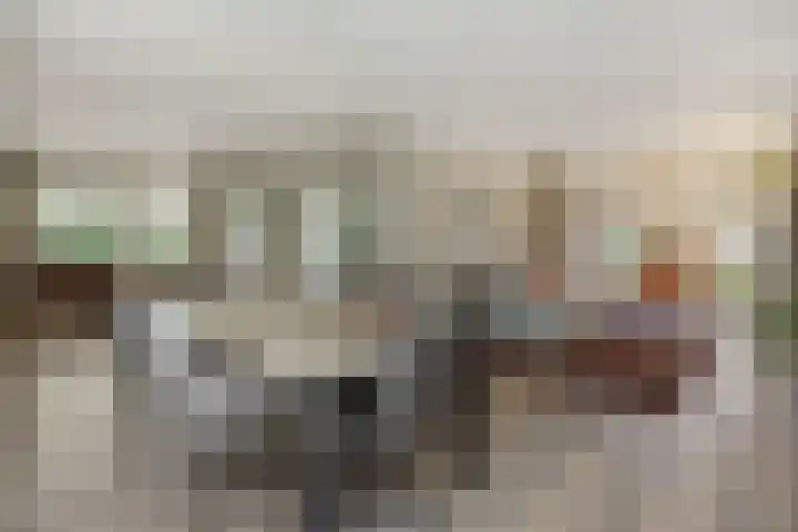 Deken Fritsenstraat 70 Rosmalen thumbnail 4