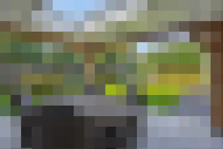 Deken Fritsenstraat 70 Rosmalen thumbnail 43