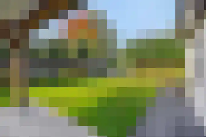 Deken Fritsenstraat 70 Rosmalen thumbnail 44