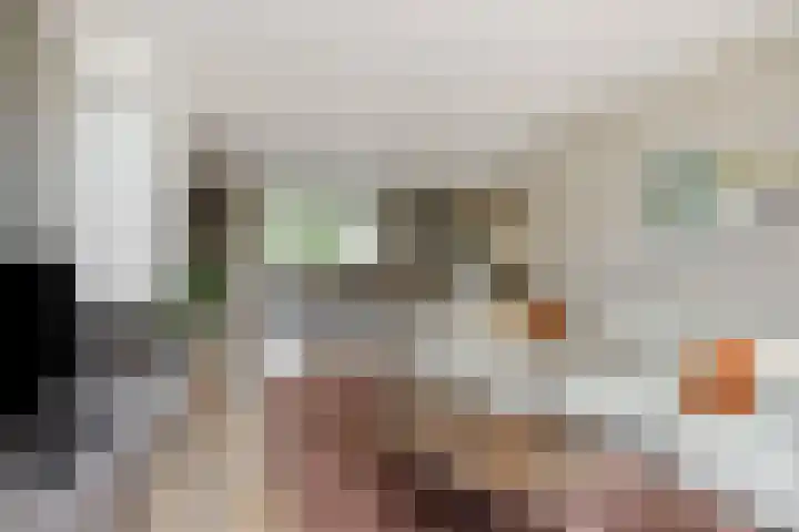 Deken Fritsenstraat 70 Rosmalen thumbnail 8