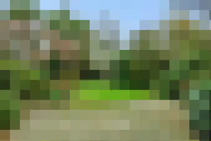 Deken Fritsenstraat 92 Rosmalen thumbnail 11